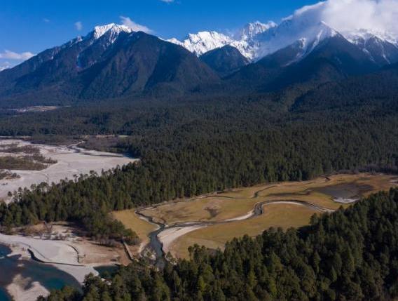 資料圖:西藏崗云杉林與遠處的雪峰。 何蓬磊 攝