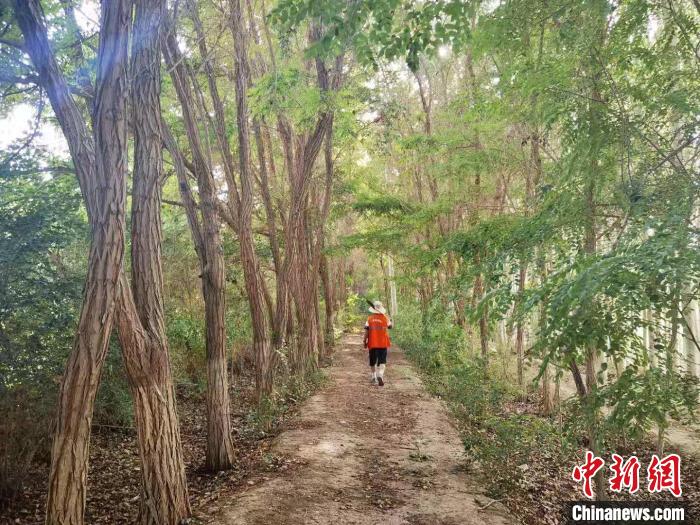 戈壁灘上的護(hù)林員：以前風(fēng)吹睜不開(kāi)眼，現(xiàn)在滿眼皆綠色