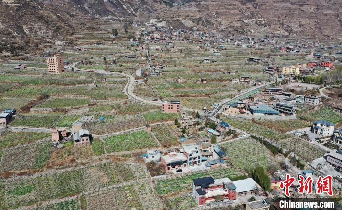 潔白的李花與村寨交相輝映，勾勒出一幅美麗的和諧生態(tài)畫卷?！『吻搴?攝