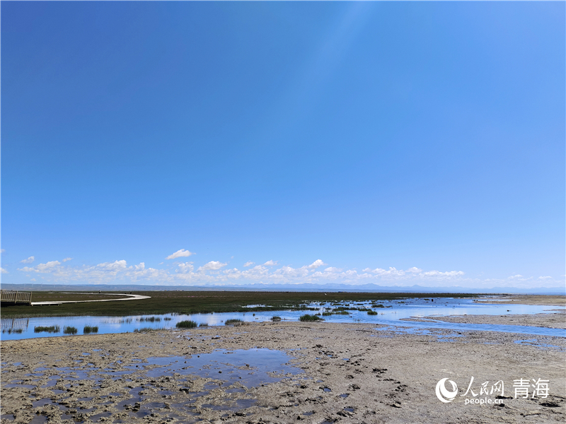   青海湖仙女灣。人民網(wǎng) 張莉萍攝