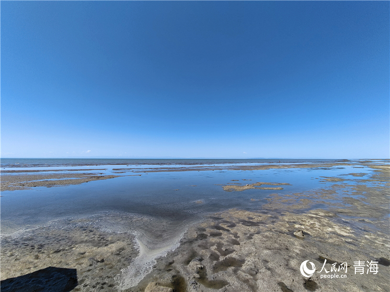   青海湖仙女灣。人民網(wǎng) 張莉萍攝