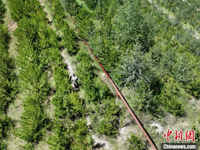 航拍建行青海省分行綠化區(qū)施工隊隊長盧占祥正在巡護綠化區(qū)?！∑钤鲚?攝