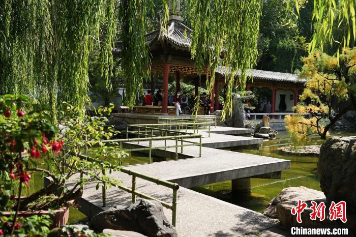 圖為西寧園林植物園秋日風(fēng)景別有韻味?！●R銘言 攝