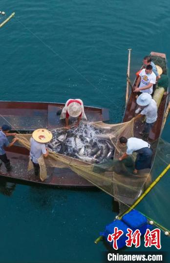 捕魚現(xiàn)場?！≈鬓k方供圖