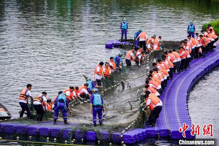 捕撈現(xiàn)場?！≈鬓k方供圖