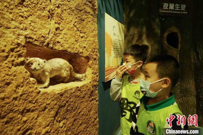 圖為小朋友在青海西寧湟水國家濕地公園科普館內(nèi)參觀學(xué)習(xí)?！●R銘言 攝