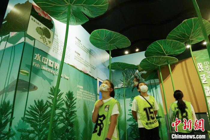 圖為小朋友在青海西寧湟水國家濕地公園科普館內(nèi)參觀學(xué)習(xí)?！●R銘言 攝