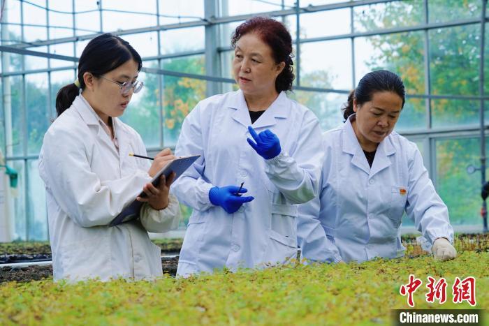 圖為張錦梅(中)與同事在討論數(shù)據(jù)。馬銘言 攝