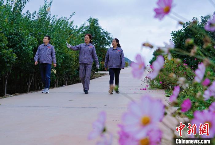 圖為張錦梅(中)與同事在西寧北山查看丁香樹?！●R銘言 攝