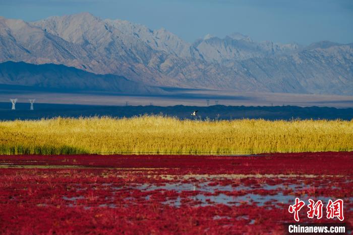 圖為柴達(dá)木盆地可魯克湖。　郭曲太 攝
