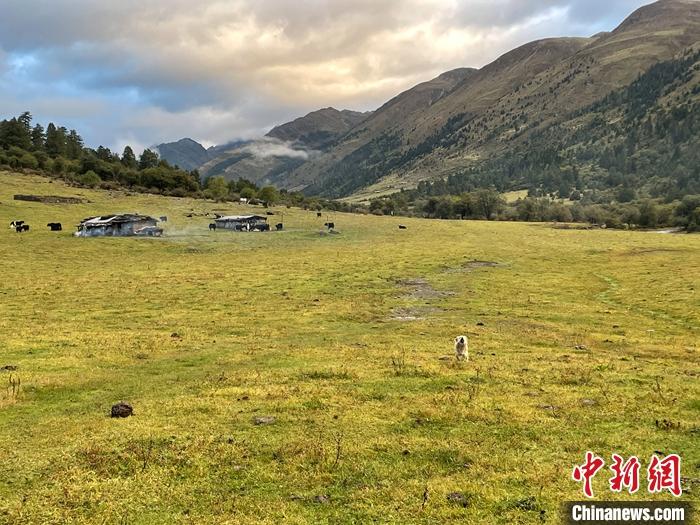 圖為9月27日新沾牧場(chǎng)的早晨景色。 <a target='_blank' href='/'><p  align=