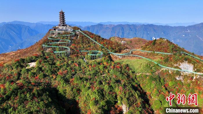 巴山大峽谷彩林迎來最佳觀賞期?！∫κ?攝