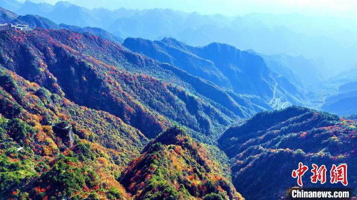 巴山大峽谷彩林迎來最佳觀賞期?！埰?攝