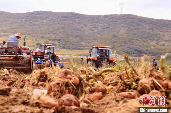 青海東部農(nóng)業(yè)區(qū)：“一分川、一分水、八分山”里“刨金記”