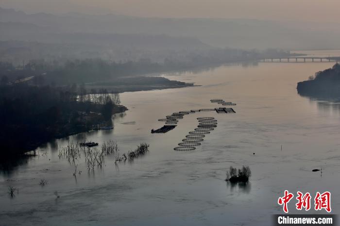 圖為冷水魚養(yǎng)殖?！±钣穹?攝