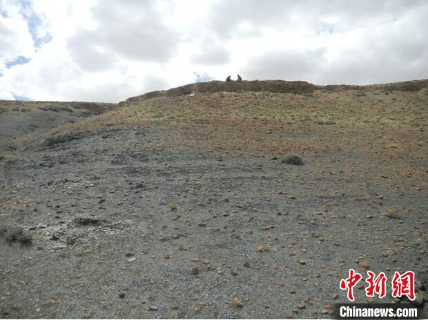 圖為本次研究的藏南曲布剖面二疊紀(jì)末期黑色頁巖?！∧瞎潘?供圖