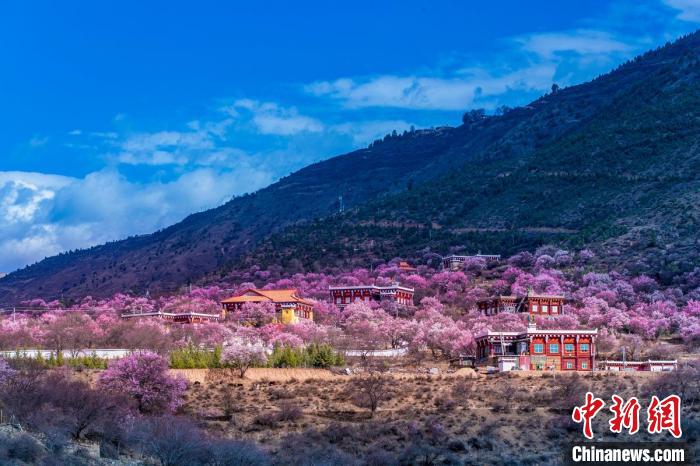 美麗的鄉(xiāng)村畫卷?！『涡秀?攝