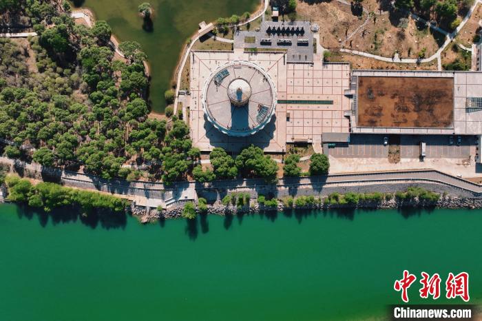 航拍青海貴德黃河岸畔綠意濃濃?！≮w凜松 攝