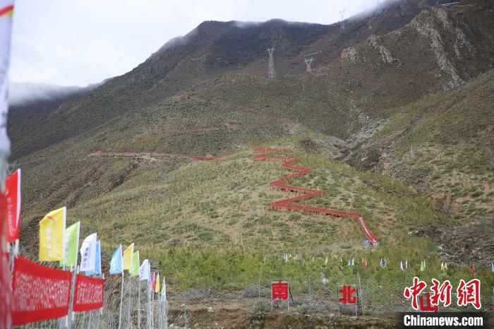 圖為拉薩南北山綠化工程拉薩曲水縣才納村5號片區(qū)?！∝暣_ 攝
