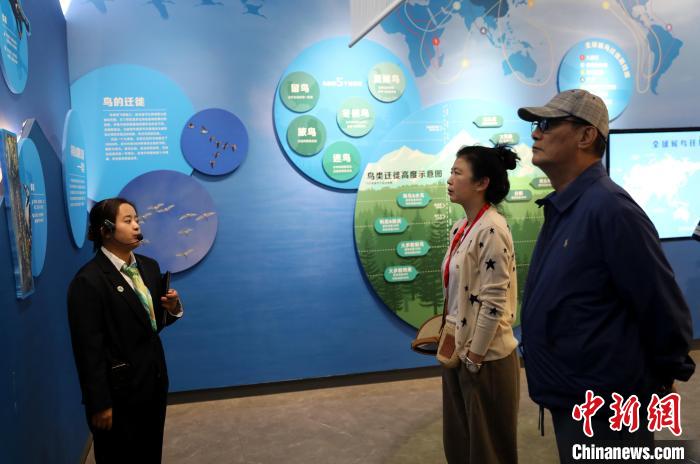 圖為臺商在祁連山國家公園生態(tài)科普館內(nèi)聆聽講解?！⊙Φ?攝