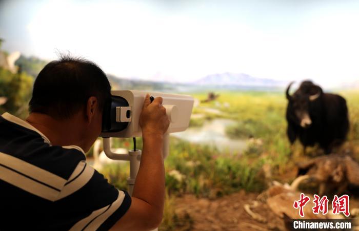 圖為臺商觀看祁連山國家公園生態(tài)科普館內(nèi)生態(tài)場景?！⊙Φ?攝