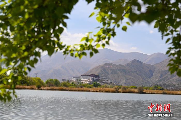 西藏：周末漫步拉魯濕地盡享生態(tài)美景