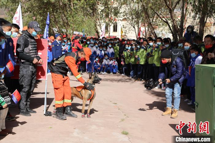 圖為搜救犬服從和箱體搜救演練。　趙琳 攝