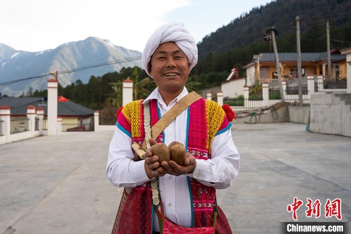 1月29日，京都村委會主任阿胖正在展示該村種植的獼猴桃。<a target='_blank' ><p  align=