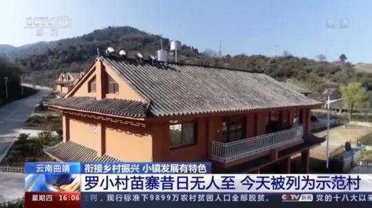 種蘑菇、養(yǎng)駱駝...。。特色產(chǎn)業(yè)助力鄉(xiāng)村振興走新路