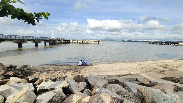 深圳紅樹林灘涂，留給了孩子們親近自然的空間。人民網(wǎng)記者 李彤攝