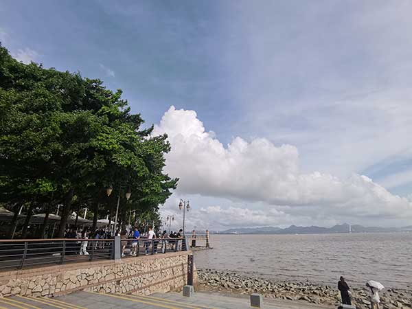 紅樹林灘涂沿線一角。人民網(wǎng)記者 張素玲攝