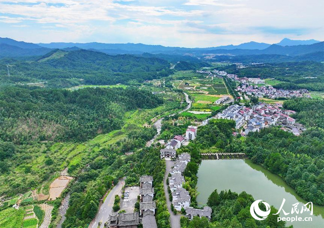 資溪縣森林資源豐富，森林覆蓋率達(dá)87.7%，有林地資源168萬畝。人民網(wǎng) 朱海鵬攝