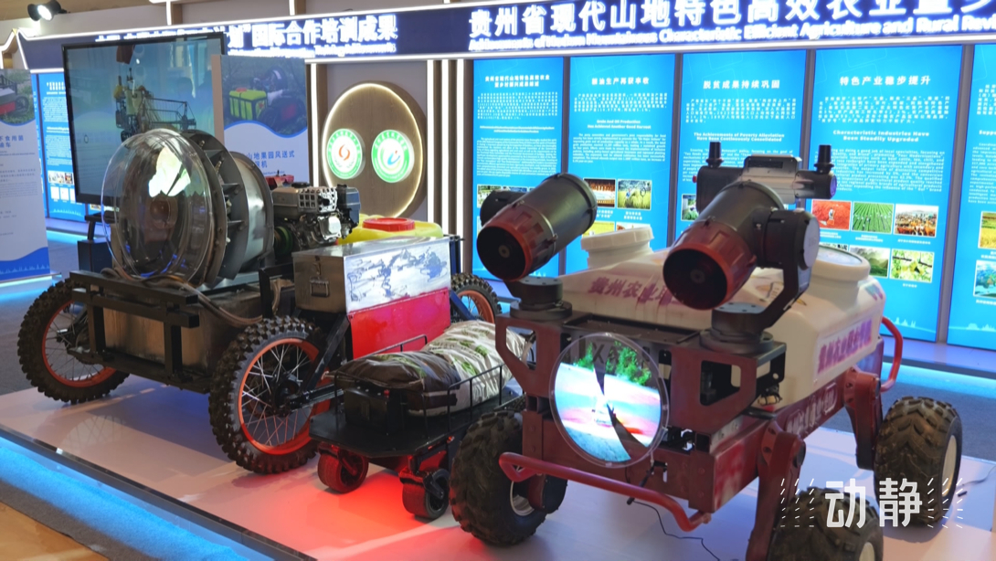 展示成果分享經(jīng)驗(yàn)，中國(guó)—東盟教育交流周深化合作共創(chuàng)未來(lái)！