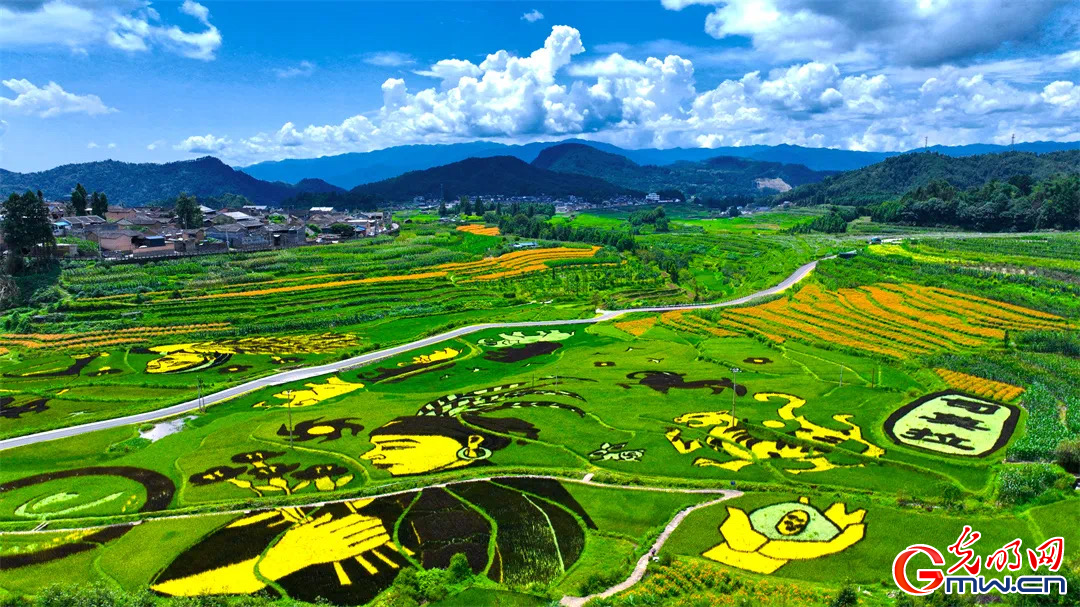 云南清水：延伸公共法律服務觸角，讓普法與民族團結(jié)進步互促共融