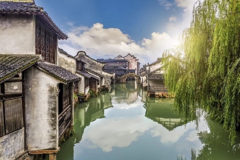 烏鎮(zhèn)動觀察｜這個字，牽起國際交流互鑒之紐帶