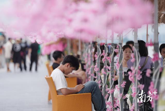 崖口村東堤靠近海岸，成為了熱門打卡休閑地點(diǎn)。