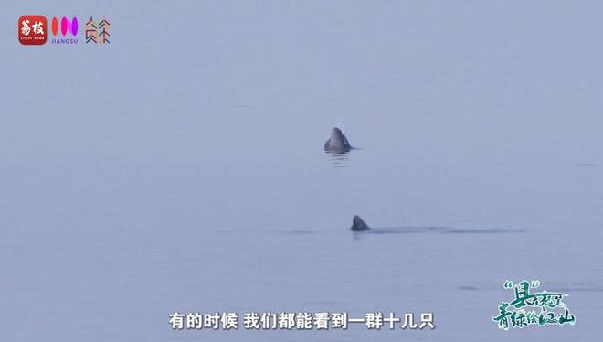 “縣”在起筆 青綠繪江山 | 江灣沐曉：褪去“銹色”走“金線”，繡出生態(tài)與產業(yè)“雙面錦”