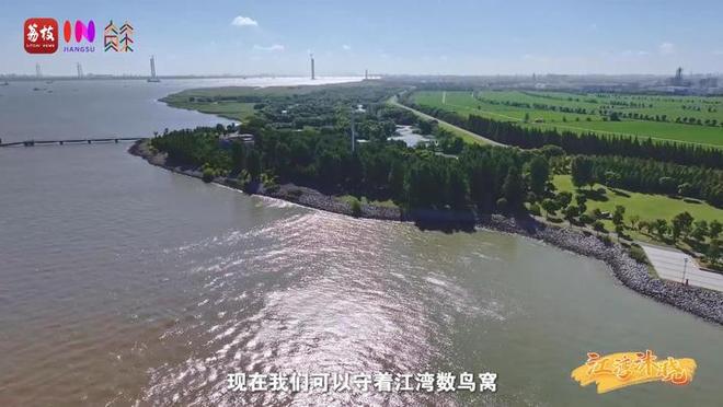 “縣”在起筆 青綠繪江山 | 江灣沐曉：褪去“銹色”走“金線”，繡出生態(tài)與產業(yè)“雙面錦”