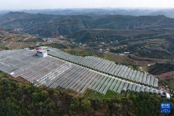 【高質(zhì)量發(fā)展看陜西】“上天”的延安蘋果，蘊(yùn)藏哪些新質(zhì)生產(chǎn)力