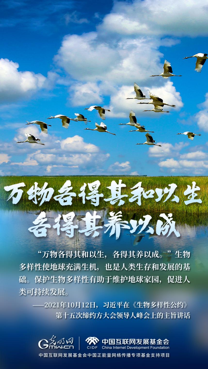 “兩山”理念與美麗中國丨濕地與候鳥，一場歲歲年年的相守