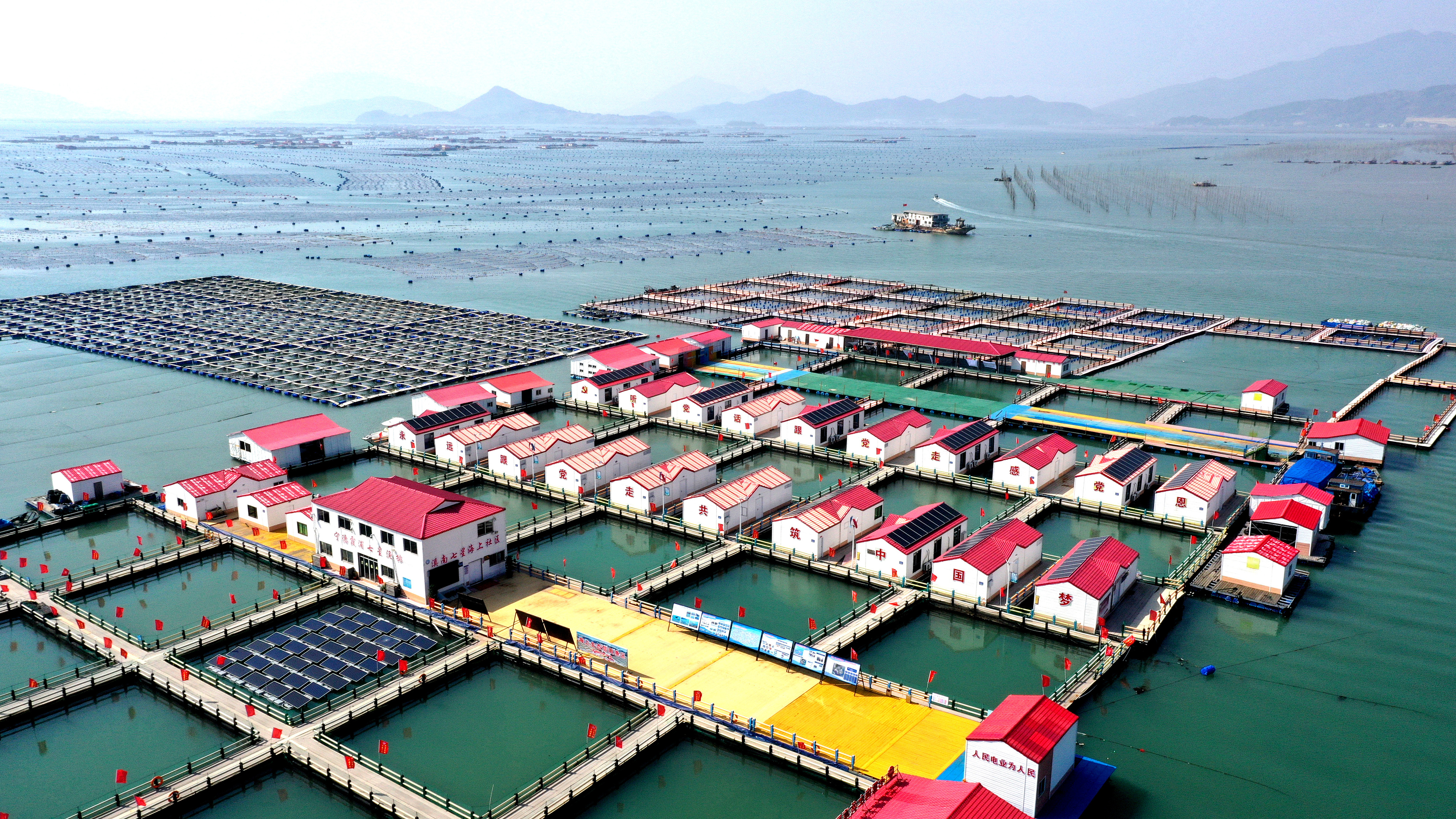 2024年3月20日，福建省寧德市，霞浦縣溪南鎮(zhèn)七星村漁排養(yǎng)殖示范區(qū)，漁民駕駛養(yǎng)殖船進(jìn)行海參養(yǎng)殖作業(yè)。