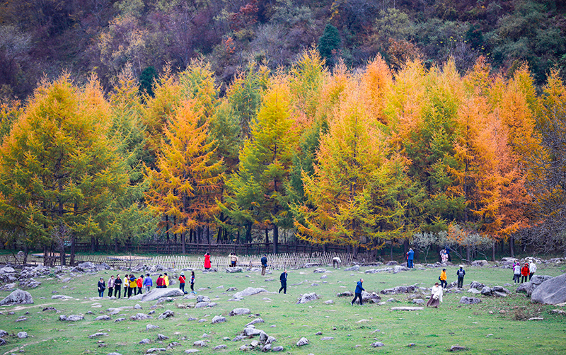 2023年10月27日，深秋時節(jié)的陜西秦嶺太子嶺漫山紅黃、色彩交織，進入最佳觀賞期。