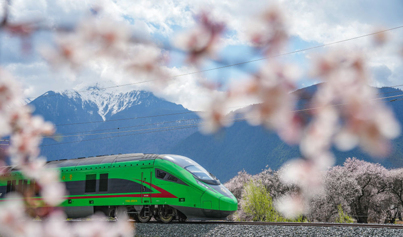 2025年4月2日，復(fù)興號(hào)列車穿行在拉林鐵路林芝段。