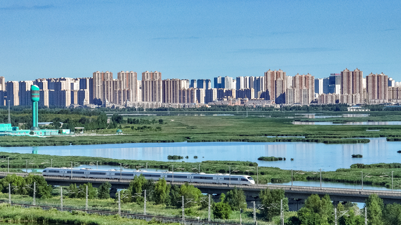 2025年8月17日，一列動(dòng)車組列車駛過大慶東站。