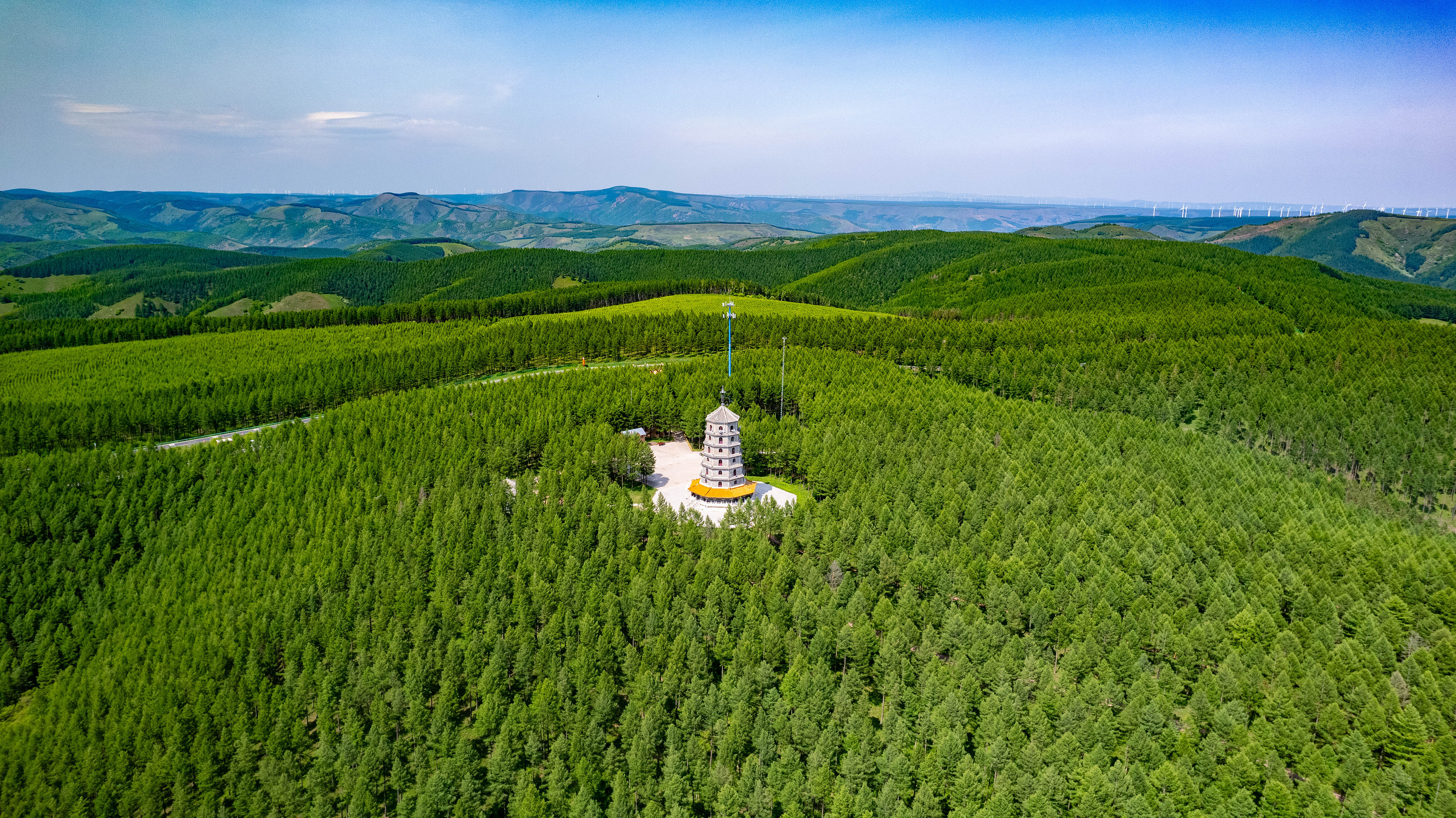 2025年6月11日，河北承德，塞罕壩林海浩渺。