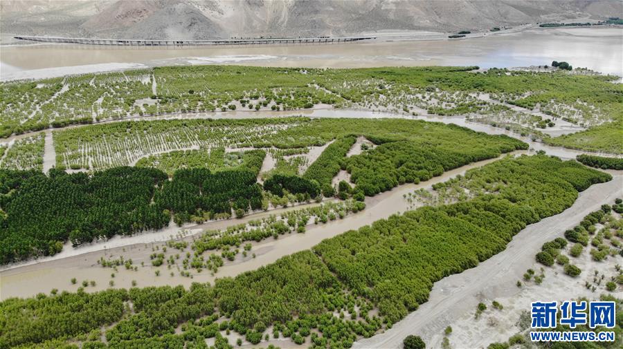 （環(huán)境）（2）雅江沿岸綠意濃