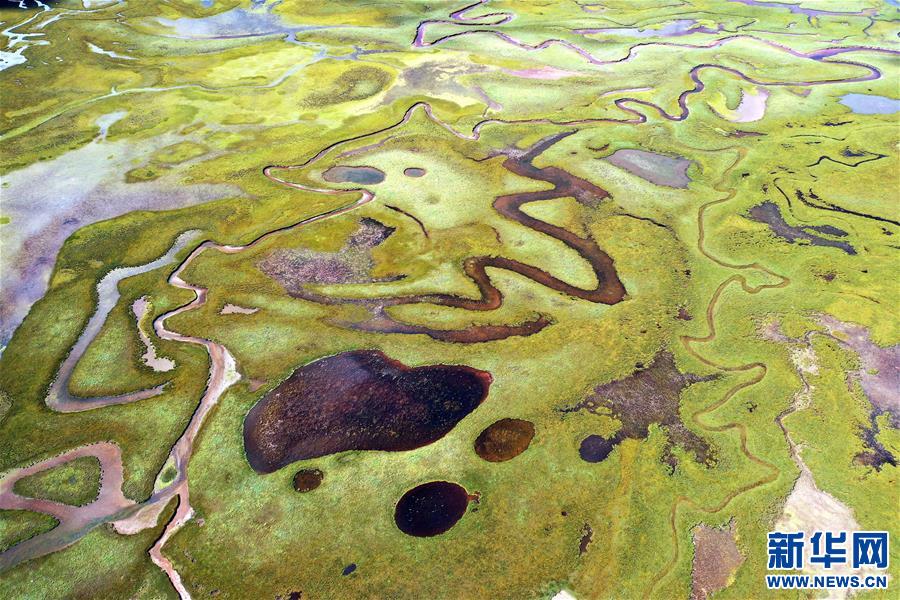 (新華視界)(2)鳥瞰拉妥濕地
