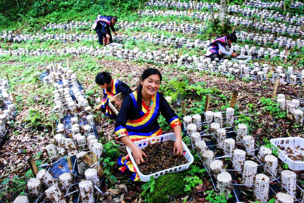 喜獲豐收展笑顏。次仁央宗攝