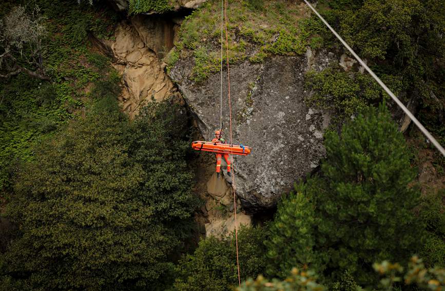叢林中的橙色身影。西繞拉翁攝