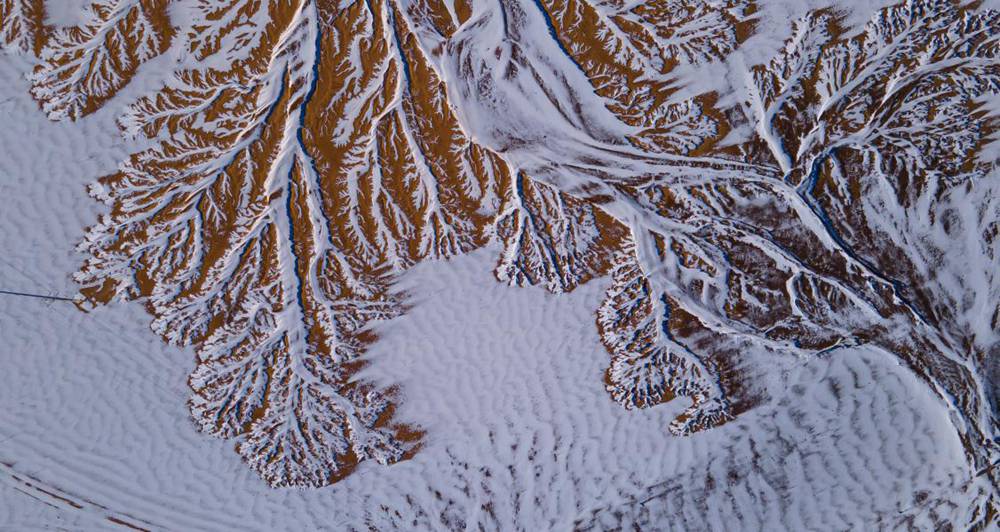 栩栩如生的枝干。邊巴多吉攝